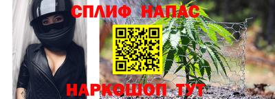 не бодяженный Кингисепп
