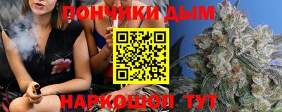 индика Кинель