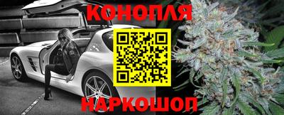 индика Кинель