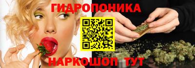 мет Кимры