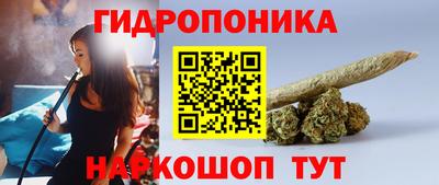 не бодяженный Кингисепп