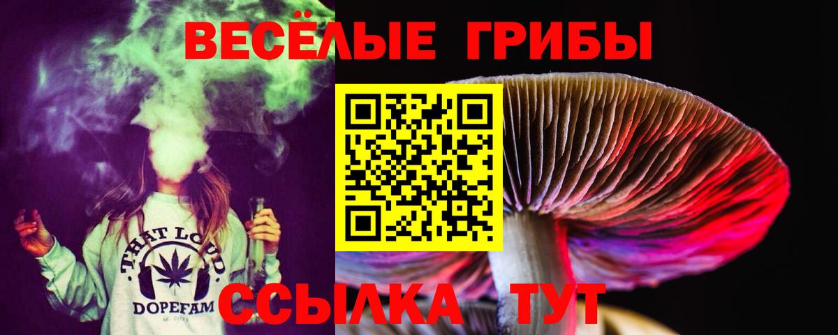 Кунгур  Псилоцибиновые грибы GOLDEN TEACHER  Вход с VPN 